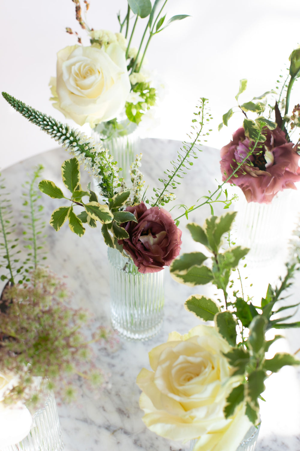 Wild Harvest Bottles of Buds