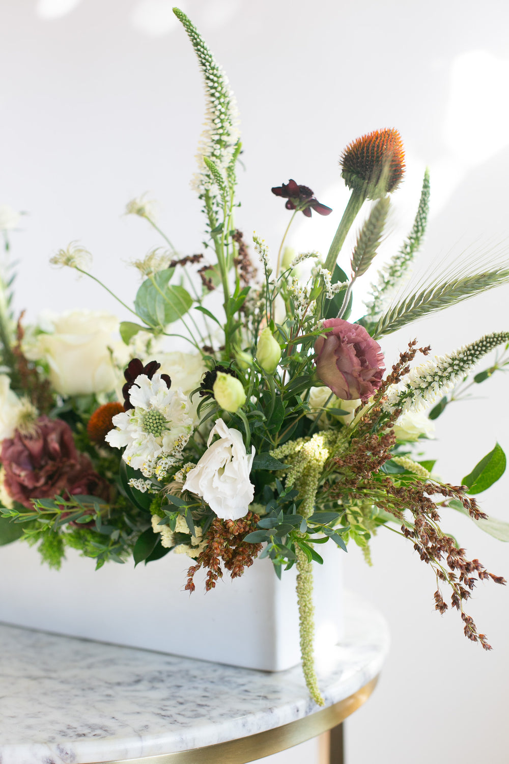 Wild Harvest Long & Low