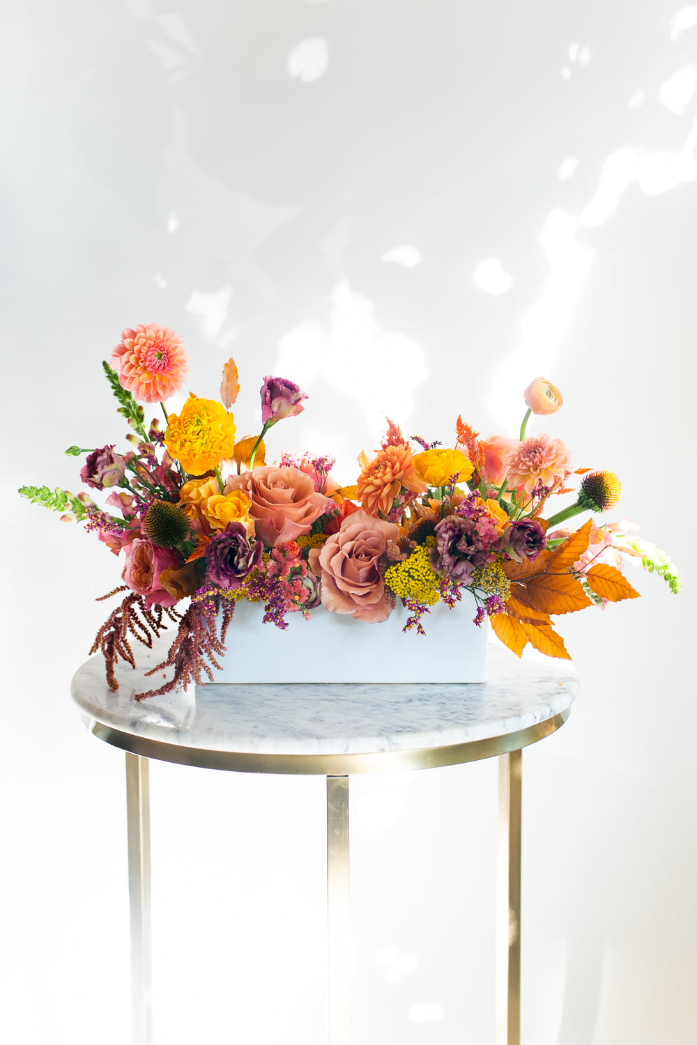 Golden Hour Long & Low