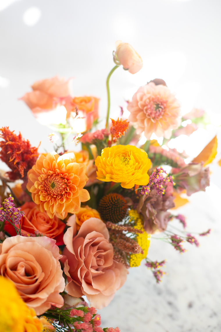 Golden Hour Long & Low