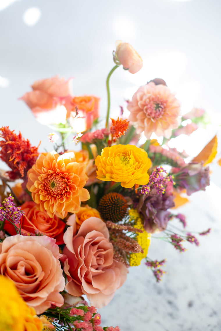 Golden Hour Long & Low