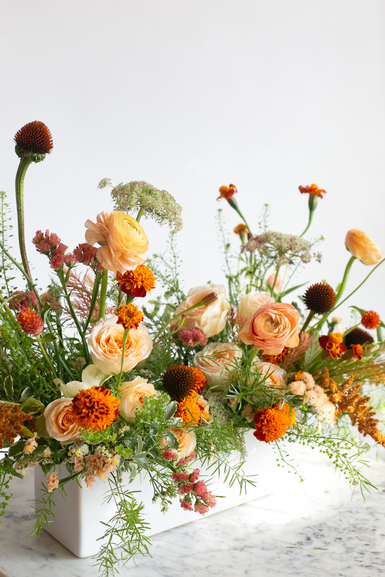 Autumn Meadow Long & Low