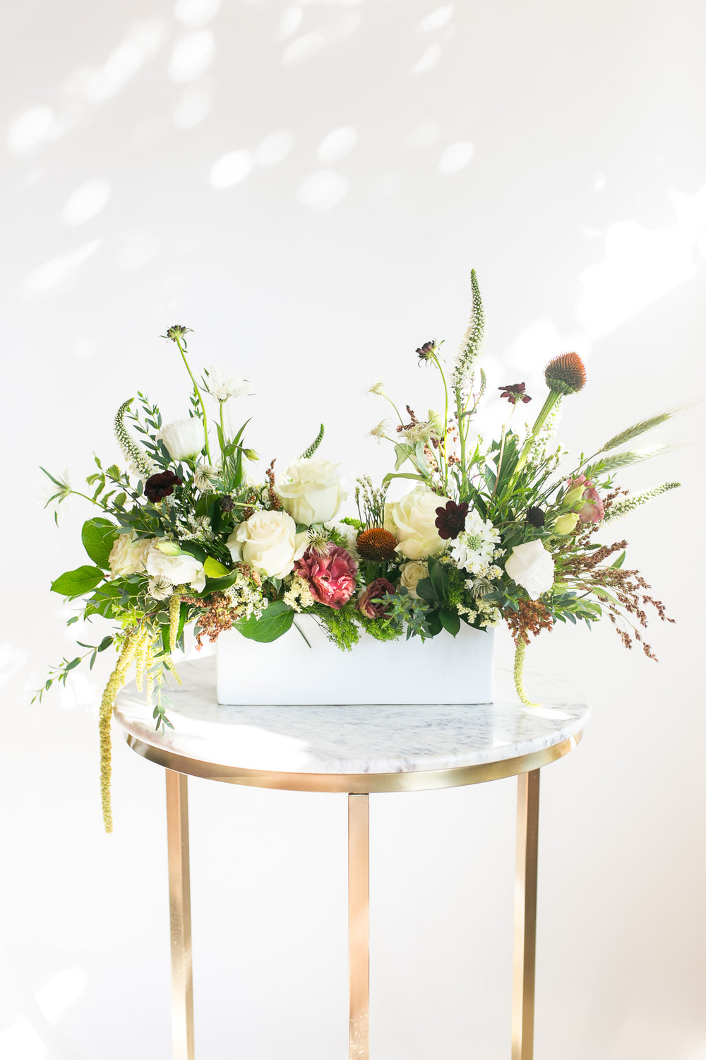 Wild Harvest Long & Low