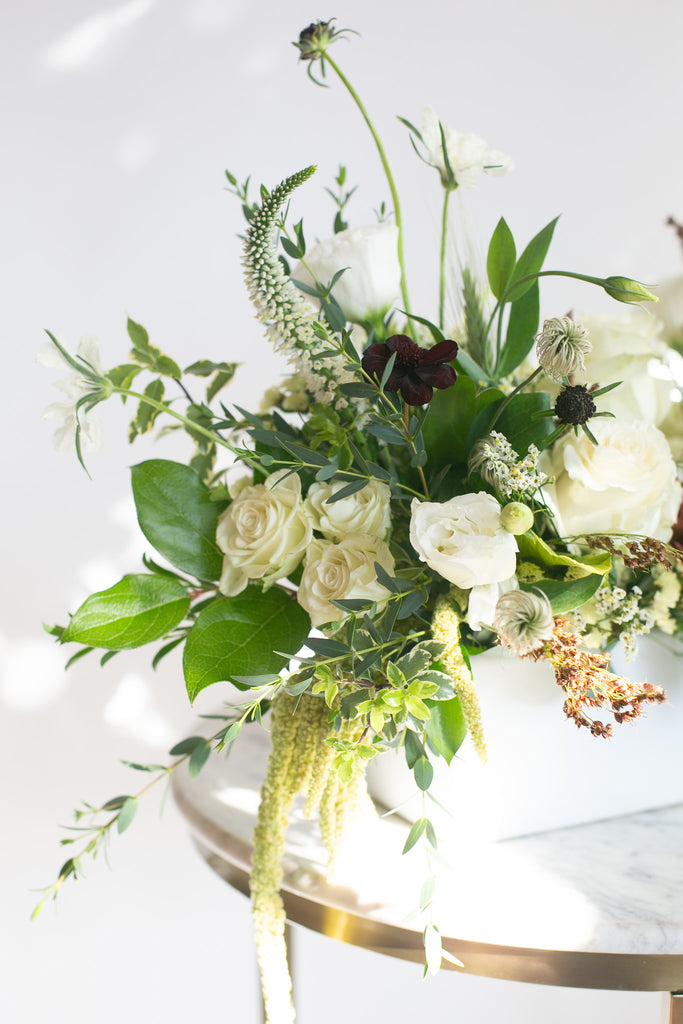 Wild Harvest Long & Low