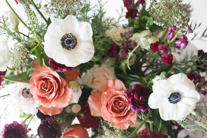 A Floral arrangement with salmon-colored Moab Roses, white Queen Anne's Lace & anemone & Veronica, dark purple ranunculus & scabiosa, maroon amaranthus, pink hellebore, violet snapdragon with evergreen foliage in a white ceramic compote vase a white backdrop