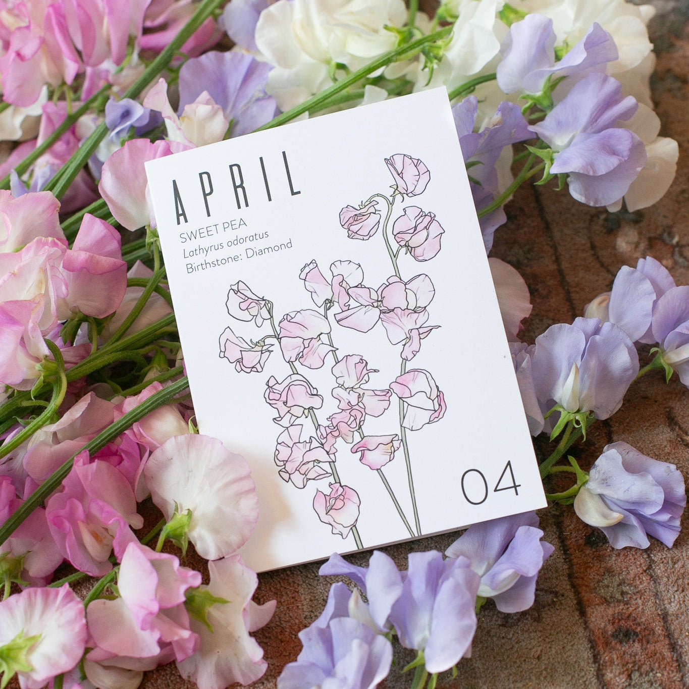 An April birth month card that has artwork of sweet peas on it and also lists the birth month gemstone. It lays on a rug surrounded by pink, white, and purple sweet pea flowers