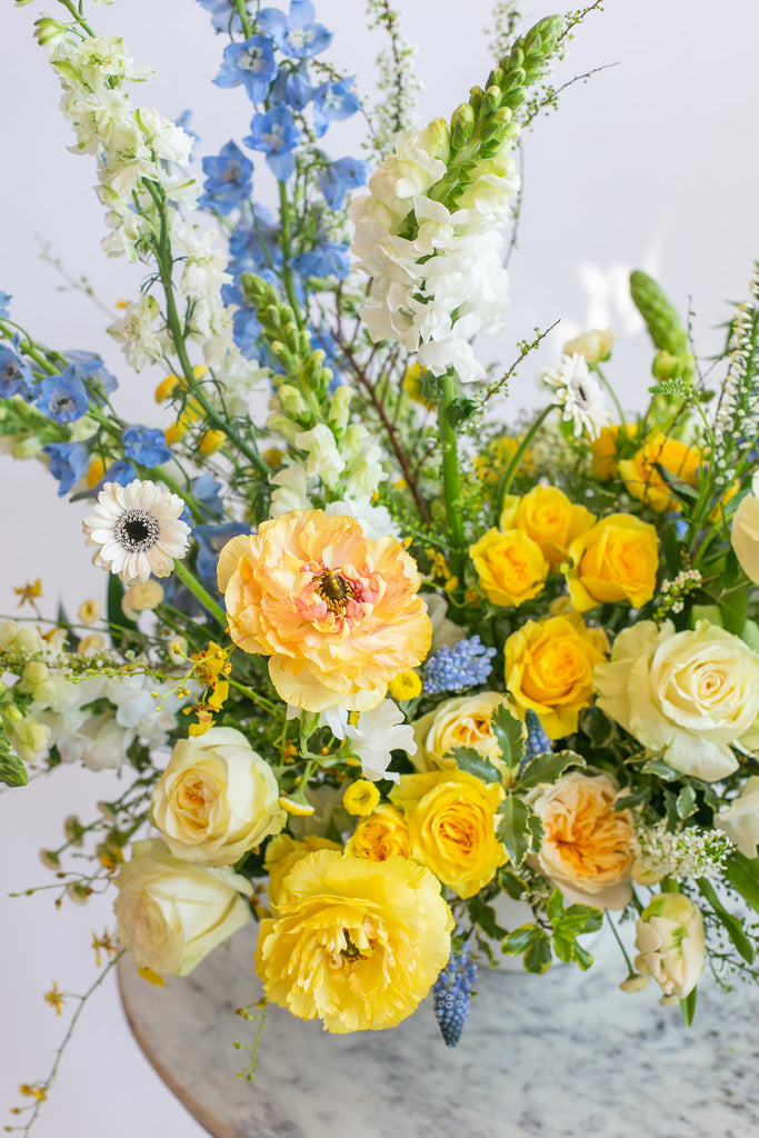 large WildFlora arrangement with a blend of yellow, blue, and white florals ina large white compote vase.