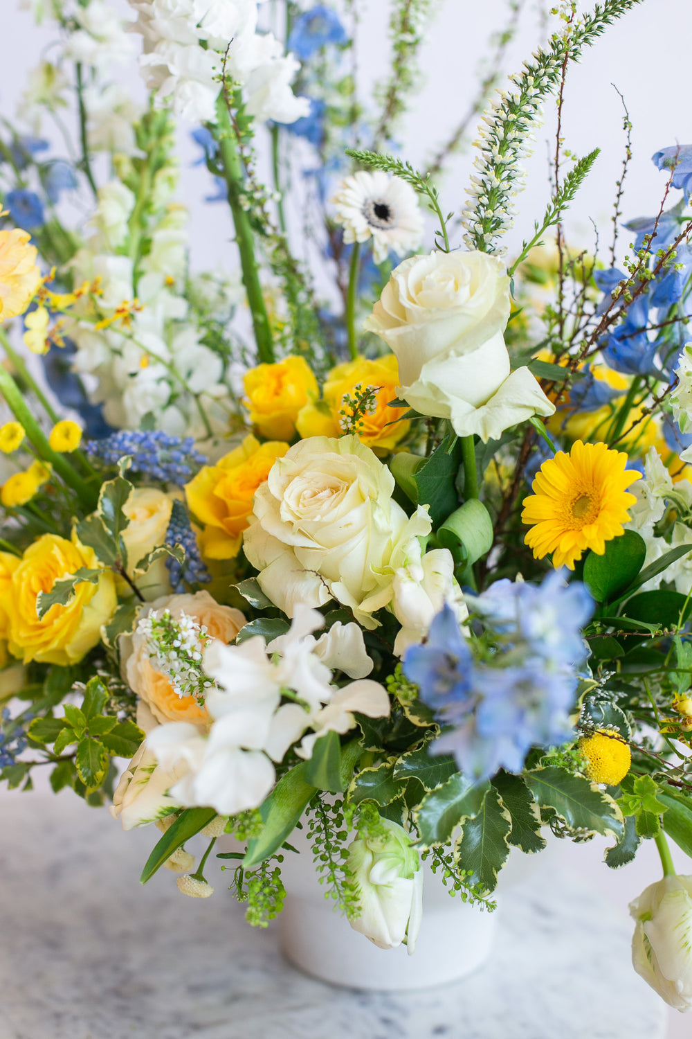 large WildFlora arrangement with a blend of yellow, blue, and white florals ina large white compote vase.