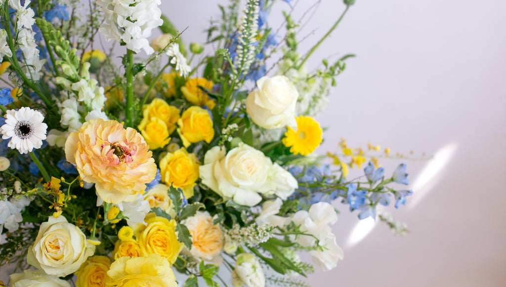 large WildFlora arrangement with a blend of yellow, blue, and white florals ina large white compote vase.