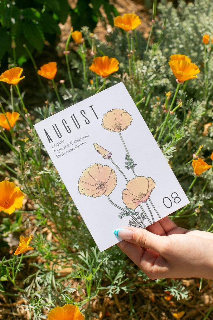 Hand holding a August birth month greeting card with illustrated California poppies on a white background. Behind are live poppy plants.