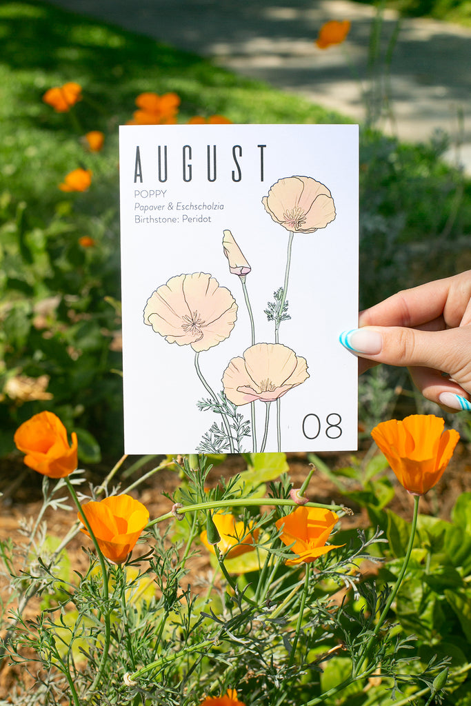 Hand holding a August birth month greeting card with illustrated California poppies on a white background. Behind are live poppy plants.