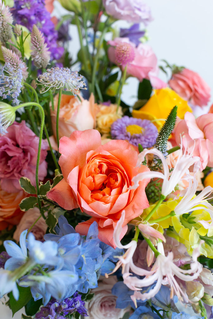 Seasonal Arrangement: Extra Large