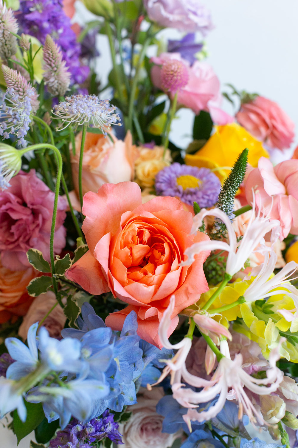 Seasonal Arrangement: Extra Large