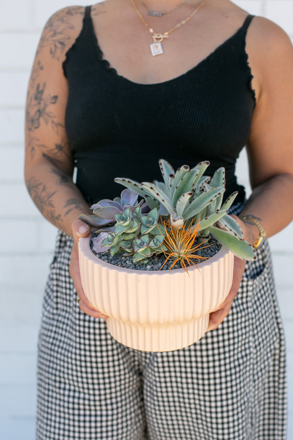 Succulent Circle Planter