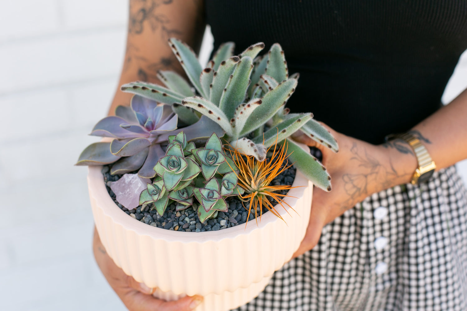 Succulent Circle Planter