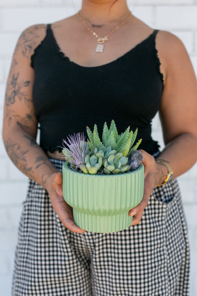Succulent Circle Planter