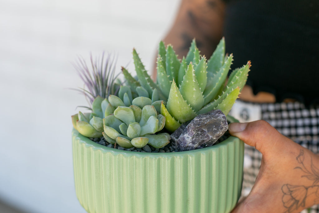 Succulent Circle Planter