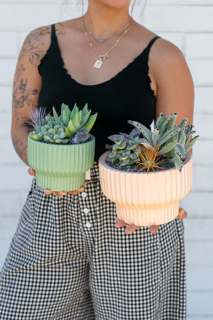 Succulent Circle Planter