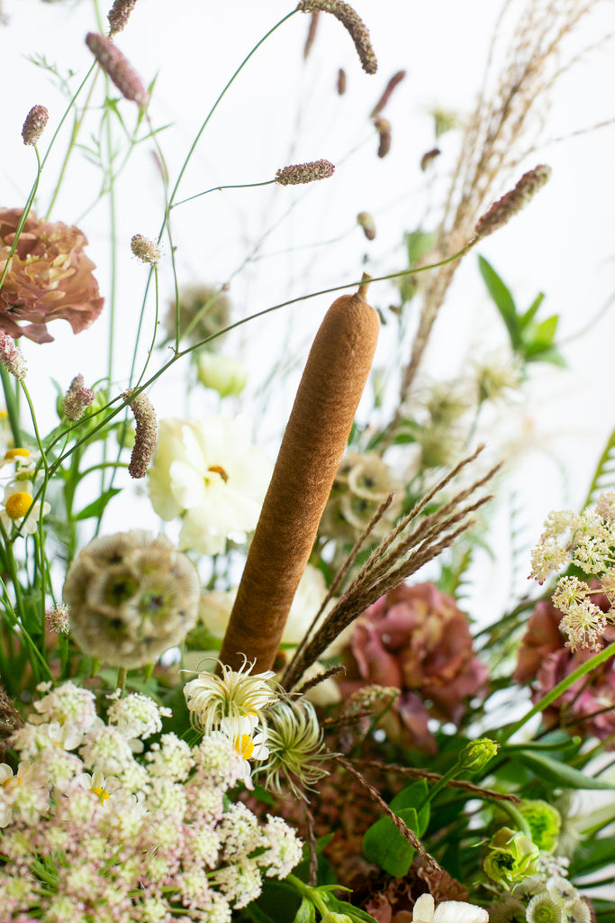 Cattail Coterie