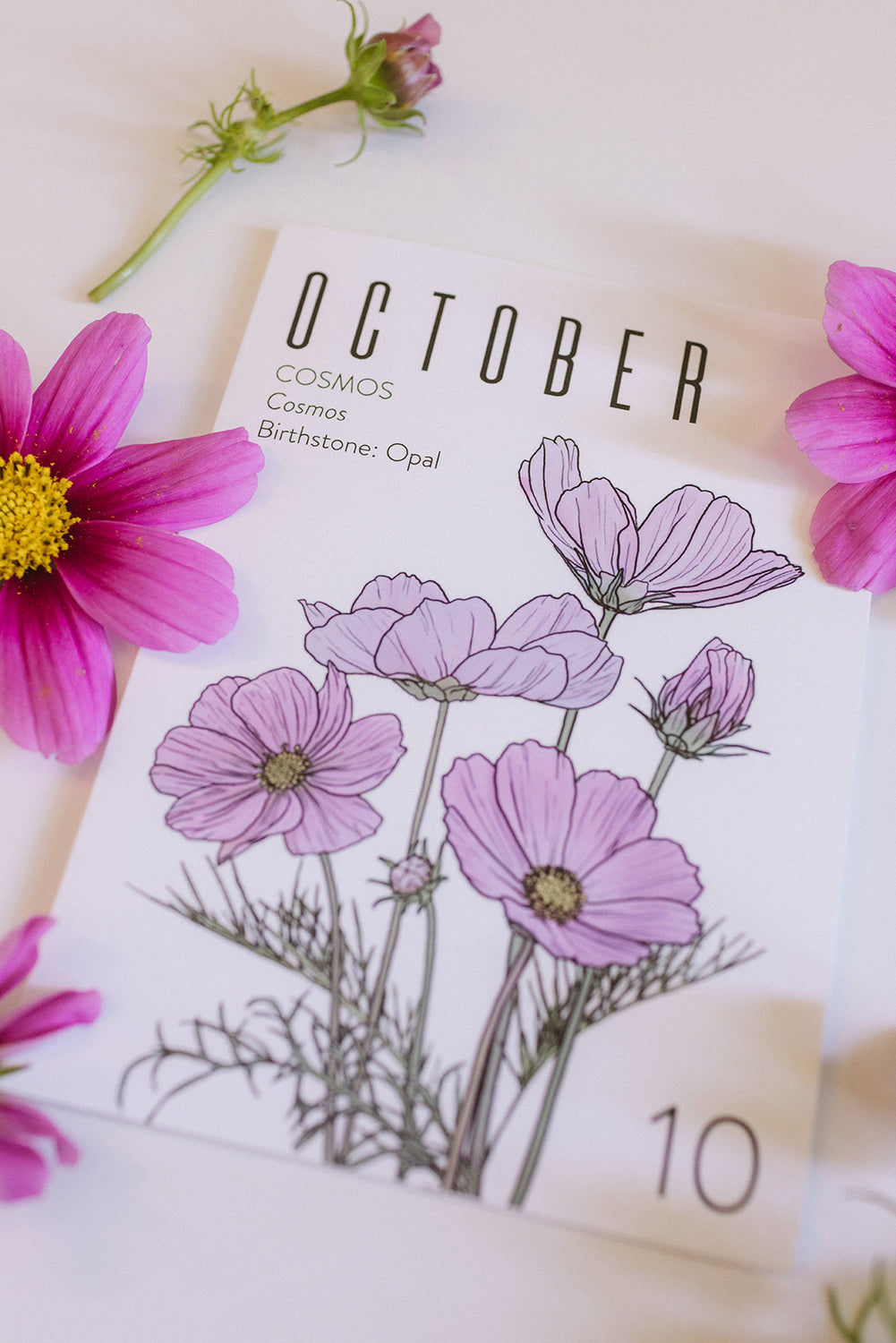 Floral card with 'October' and 'Cosmos' text, surrounded by pink cosmos flowers.