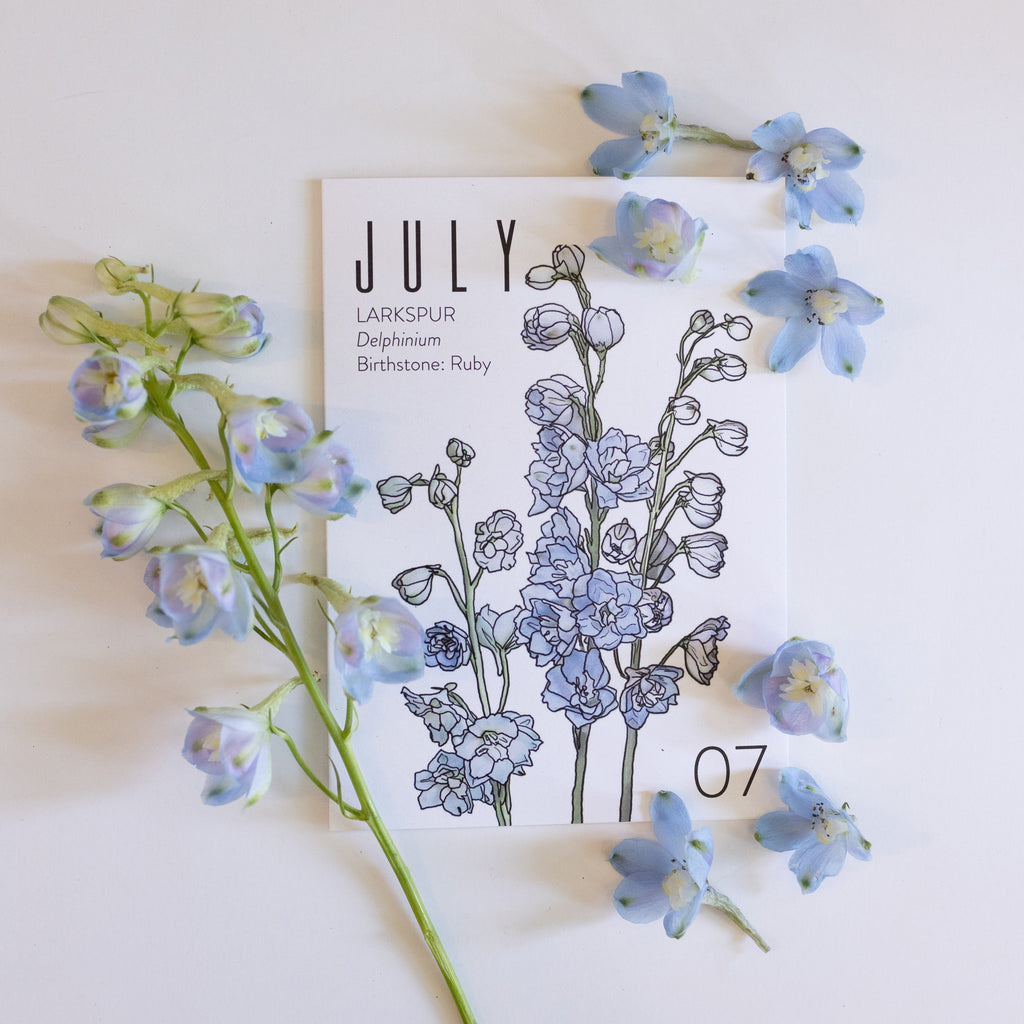 A July birth month card that has artwork of delphinium on it and also lists the birth month gemstone. around it are fresh delphinium flowers.