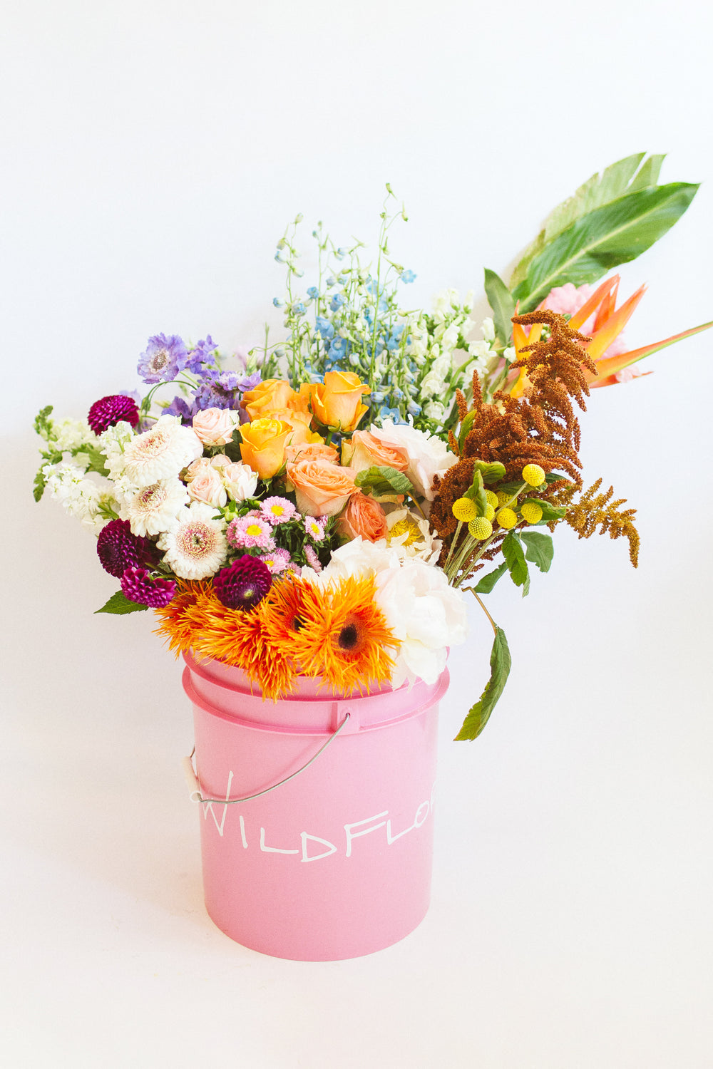 A bunch of flowers in a pink bucket in front of a white backdrop. It's filled with white, orange, yellow, maroon, tan, purple, blue, and green foliage and flowers, including daisies, roses, scabiosa, billy balls, amaranthus, dahlia, delphinium, heliconia, ginger.