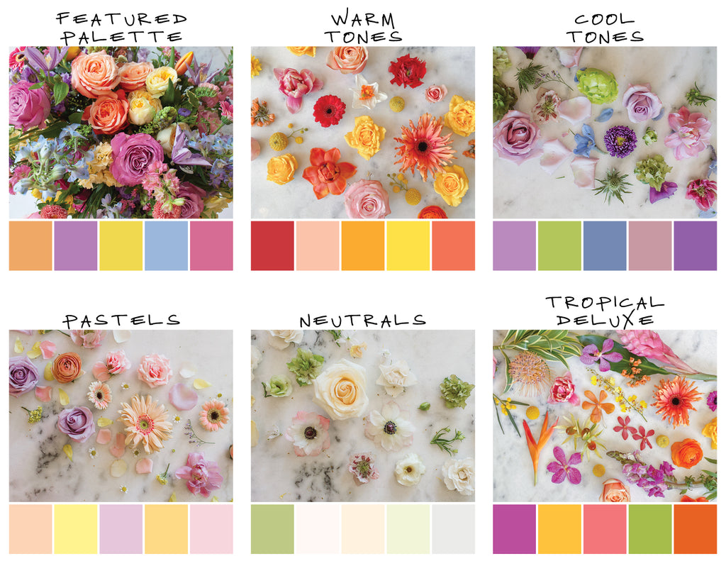 Seasonal Long & Low
