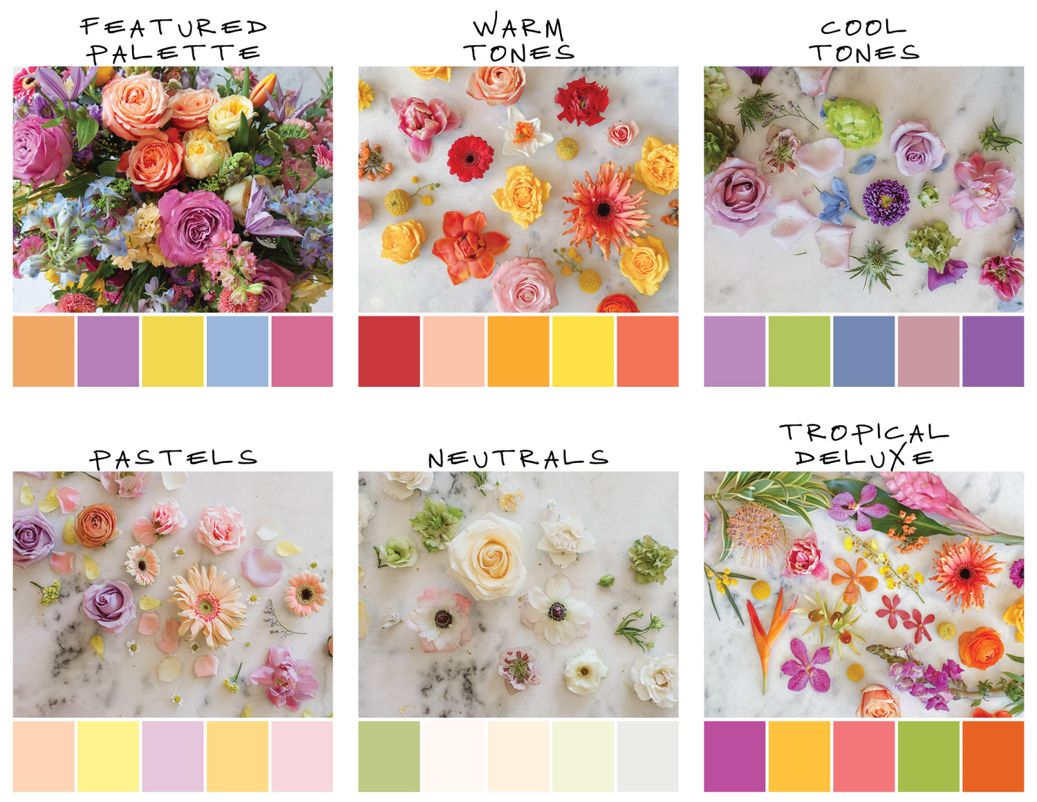 Seasonal Long & Low