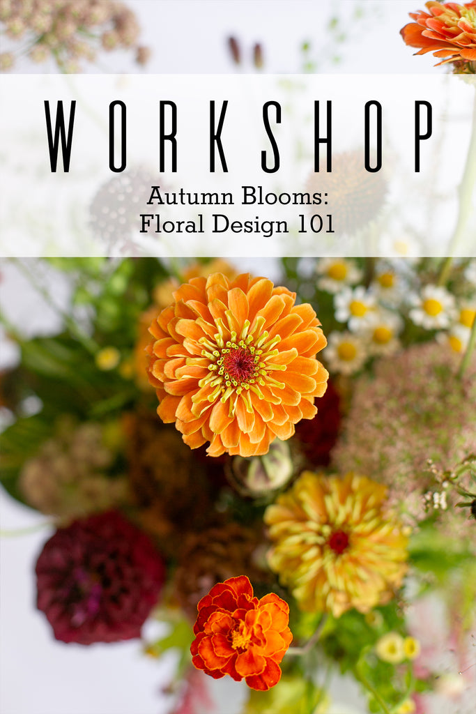 Thursday October 17th Workshop | Autumn Blooms: Floral Design 101