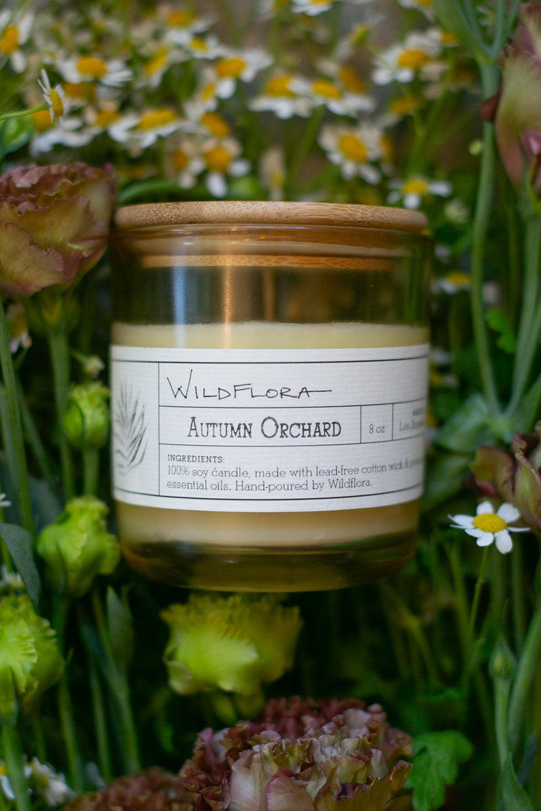 Candle: Limited Edition Single Wick Candle: AUTUMN ORCHARD