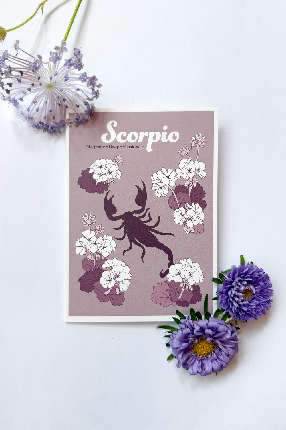 Greeting Card: Zodiac - SCORPIO