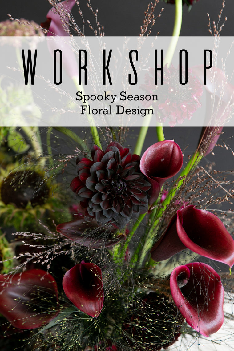 Thursday, October 29 Workshop | Spooky Season Floral Design