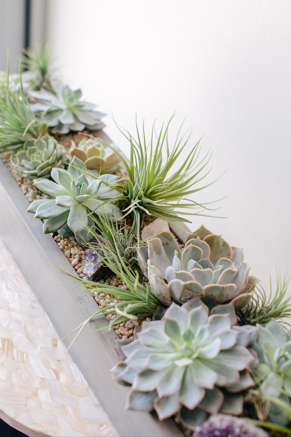 Closeup of a long, grey concrete rectangular planter with succulents and air plants in it. There's also a purple amethyst crystal in the planter. 