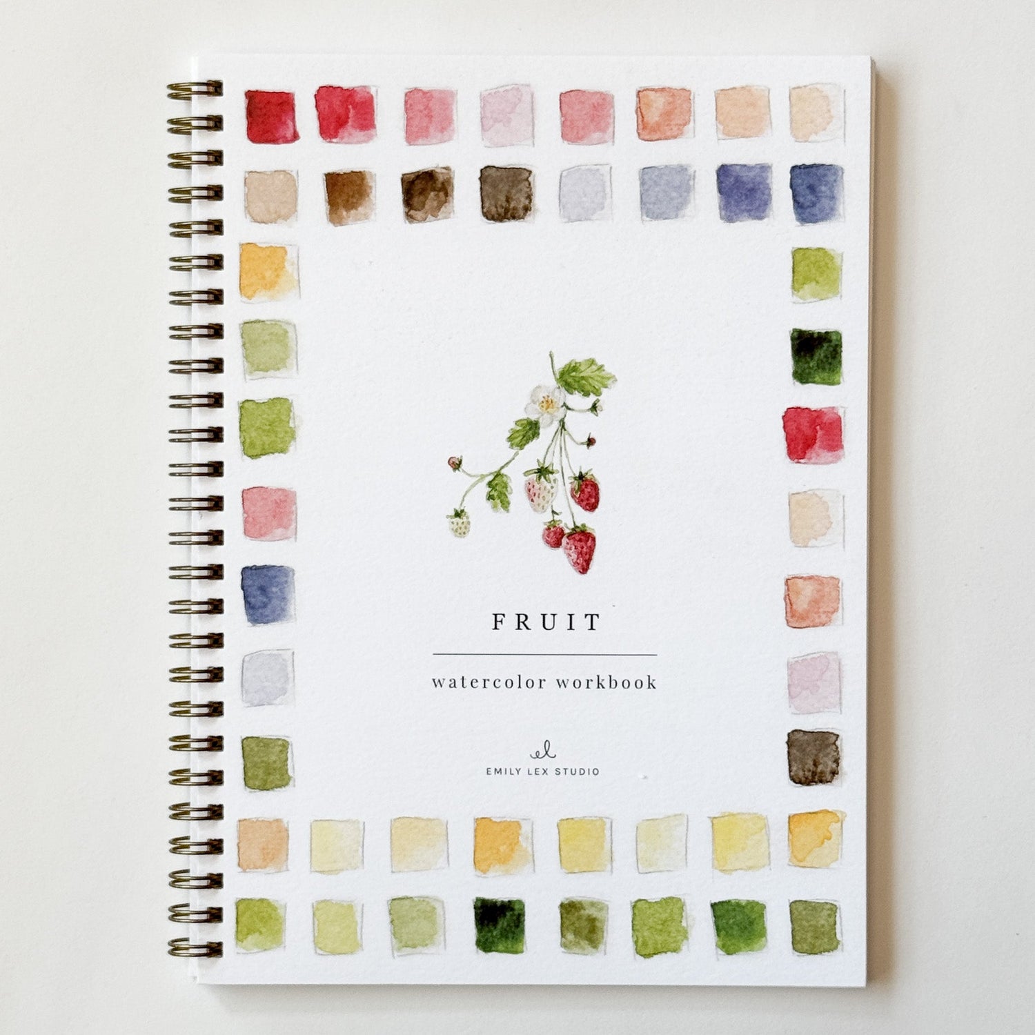 A spiral-bound watercolor workbook titled 'FRUIT' with a watercolor illustration of fruit in the center and a border of colorful paint swatches around the cover, photographed against a plain light background.