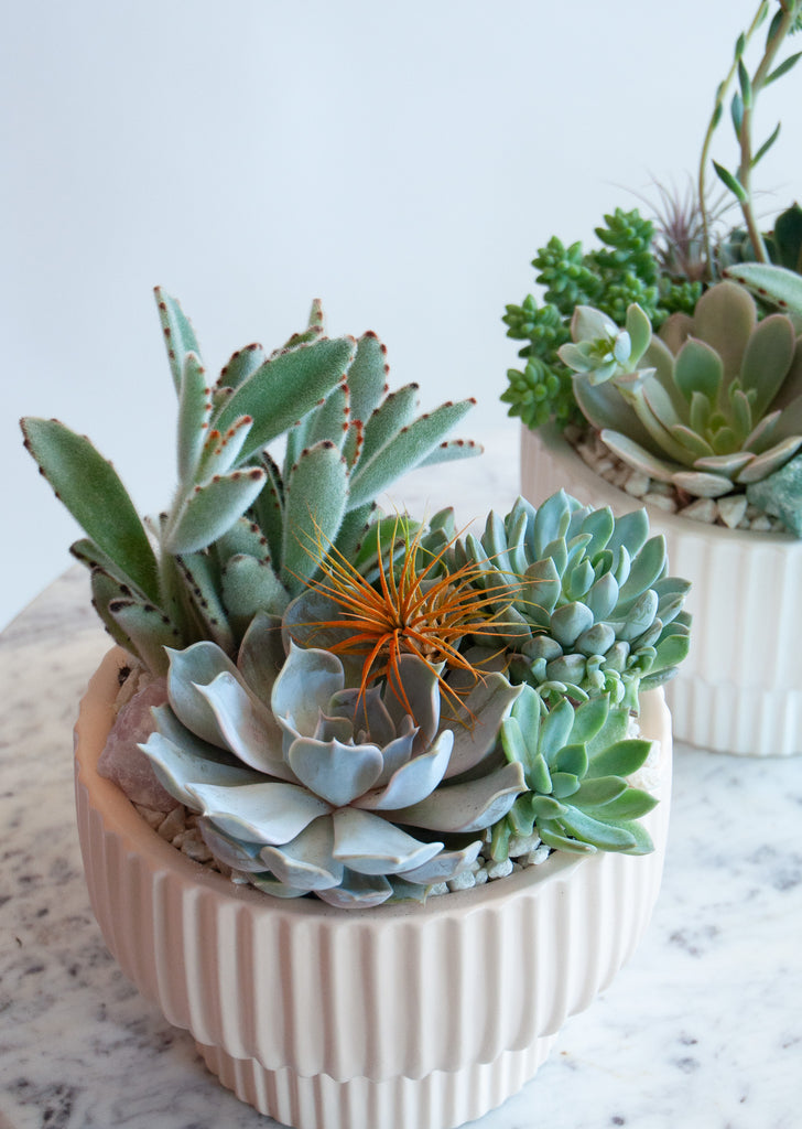 Closeup of a circular, ribbed blush-colored planter with succulents, air plants, and a crystal, sitting on a marble table in front of a white backdrop. Behind is a similar planter in a light white planter.