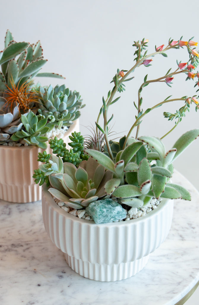 Closeup of a circular, ribbed white planter with succulents and a crystal, sitting on a marble table in front of a white backdrop. Behind is a similar planter in a light blush-colored planter.