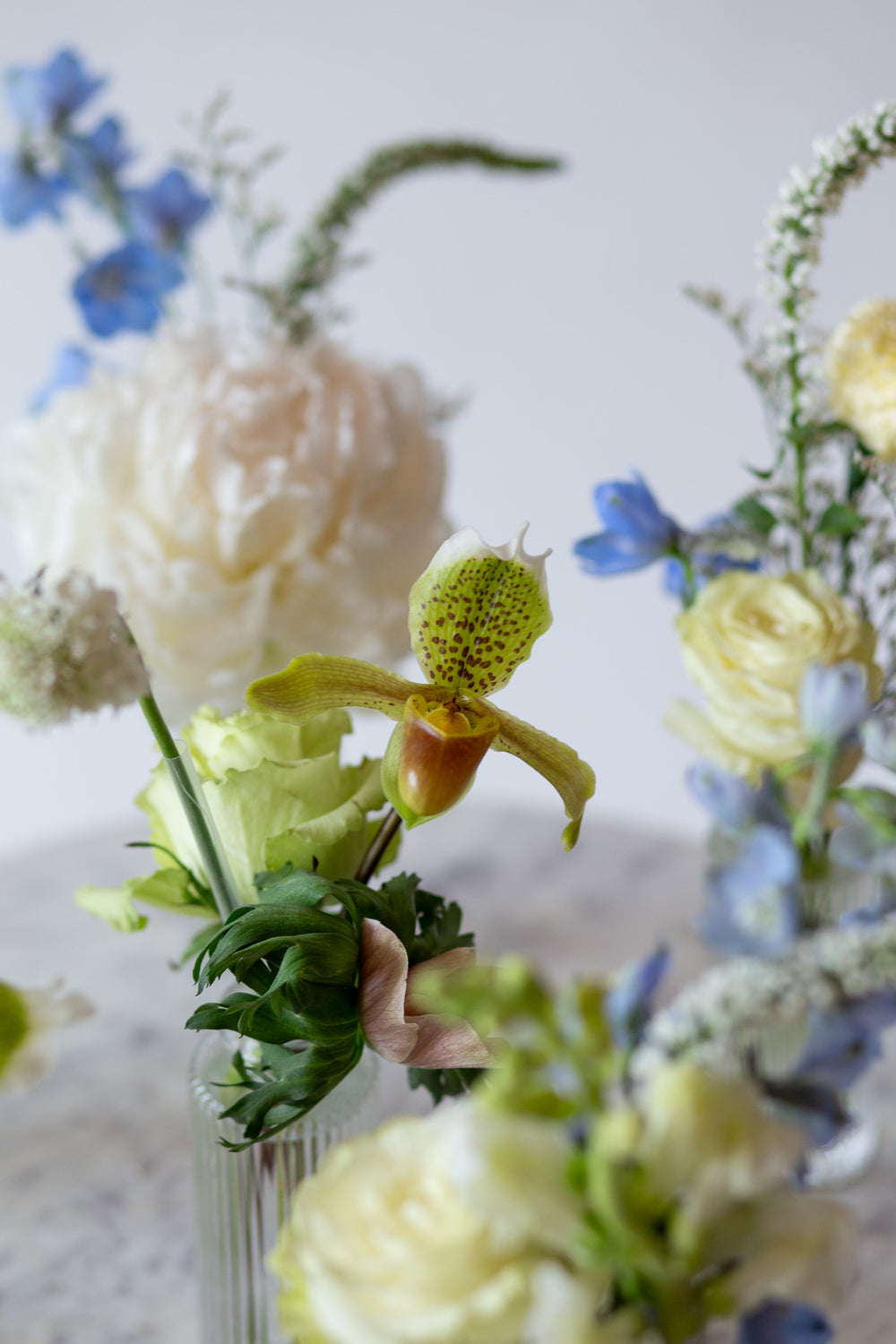 WildFlora's Holiday Sleigh Ride Bud Vases on a small marble table in front of a white backdrop. They have blue, green, white, and chartreuse flowers, and include rose, veronica, delphinium, scabiosa, hellebore, pitcher flower, and peony.