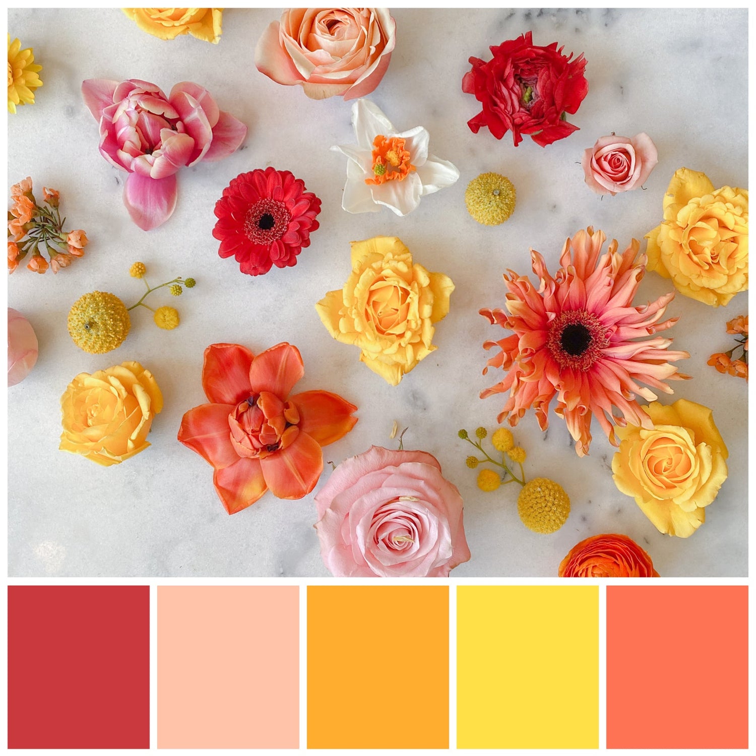 A color palette option: a flatlay of pastel-colored blooms on a marble background. The colors included are red, orange, peach, yellow, and warm pinks.