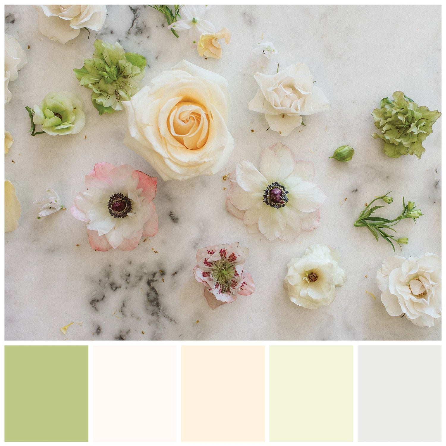 A color palette option: a flatlay of neutral-colored blooms on a marble background. The colors included are soft green and different shades of creams and whites.