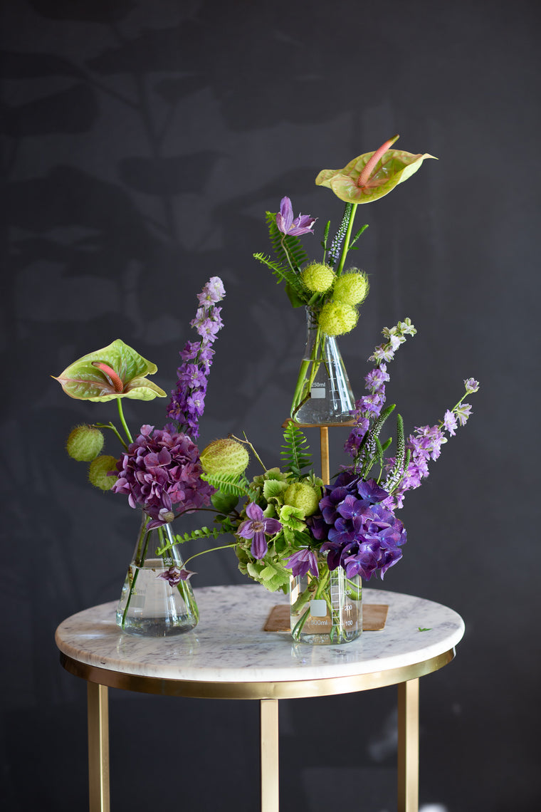 Elixirs in Bloom
