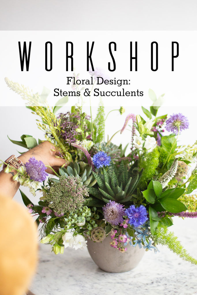 2026.08.12 Workshop | Stems & Succulents