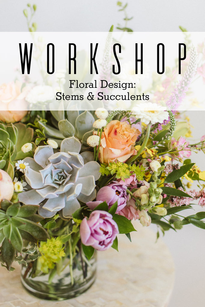 2026.08.12 Workshop | Stems & Succulents