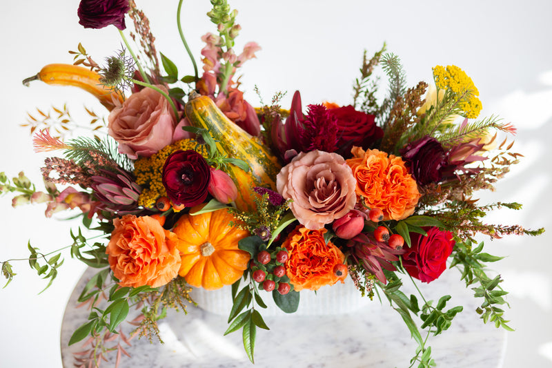 WildFlora's Gathered Garden Arrangement in a ribbed long and low white speckled container on a marble table. It includes orange, tangerine, red, pink, fuchsia, maroon, and gold flowers, complete with festive gourds / mini pumpkin, ranunculus, rose, dahlia, yarrow, weeping amaranthus, chocolate cosmos, delphinium, lisianthus, tulip, Queen Anne's lace, evergreens, snapdragon, and hypericum berries.