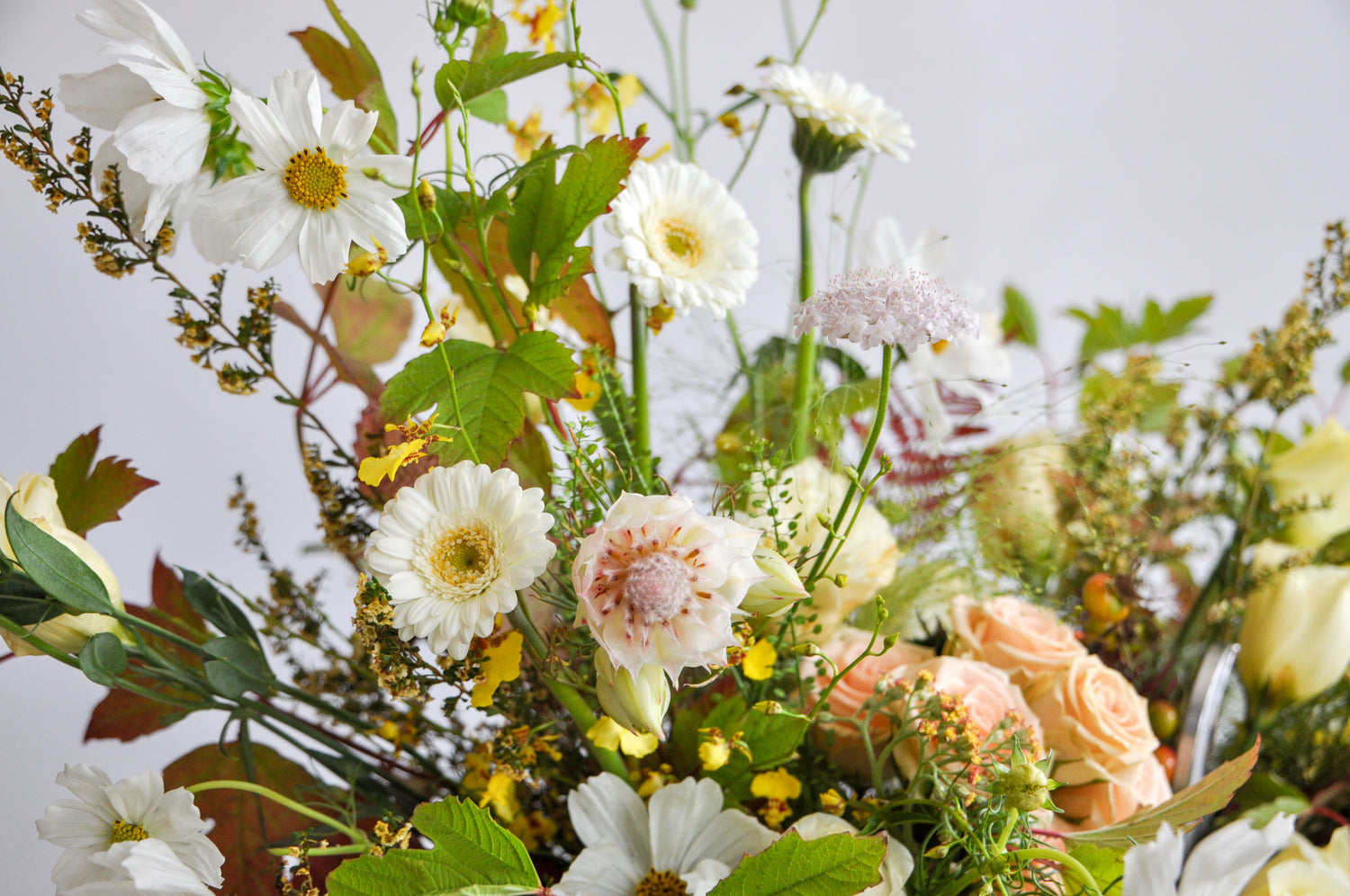 closeup of A green, yellow, peach, and maroon WildFlora flower arrangement in a white vase, featuring rose, lisianthus, fern, and oncidium orchid, cosmos, fall foliage leaves, blushing bride protea, allium, gerber daisy, and berries.