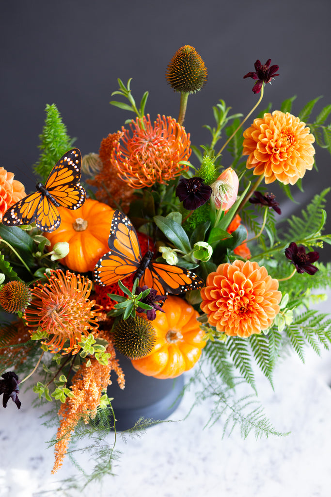 orange dahlias, pincushion protea, and other orange flowers in a sprawling bed of greens in a black container on a marble table in front of a black backdrop. There are also tiny orange pumpkins and monarch butterfly decals in this WildFlora arrangement.