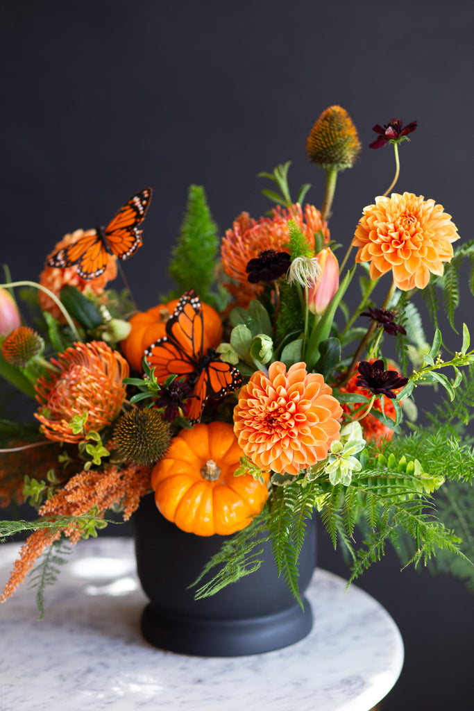 orange dahlias, pincushion protea, and other orange flowers in a sprawling bed of greens in a black container on a marble table in front of a black backdrop. There are also tiny orange pumpkins and monarch butterfly decals in this WildFlora arrangement.