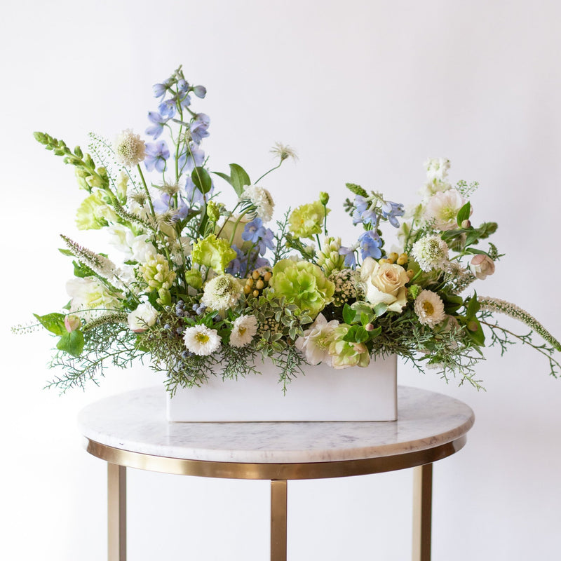 WildFlora's Flora Flurries Long & Low Arrangement in a white ceramic long & low vase on a small marble table in front of a white backdrop. It has baby blue, chartreuse, green, and white flowers, and includes rose, veronica, lisianthus, snapdragon, hyacinth, delphinium, scabiosa, juniper, aster, and hellebore.