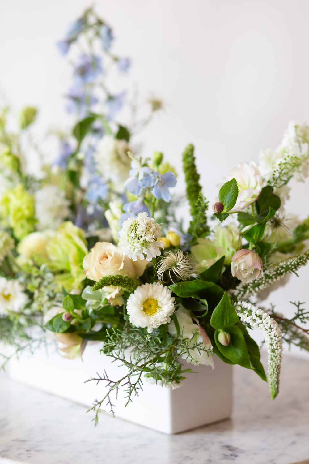 WildFlora's Flora Flurries Long & Low Arrangement in a white ceramic long & low vase on a small marble table in front of a white backdrop. It has baby blue, chartreuse, green, and white flowers, and includes rose, veronica, lisianthus, snapdragon, hyacinth, delphinium, scabiosa, juniper, aster, and hellebore.