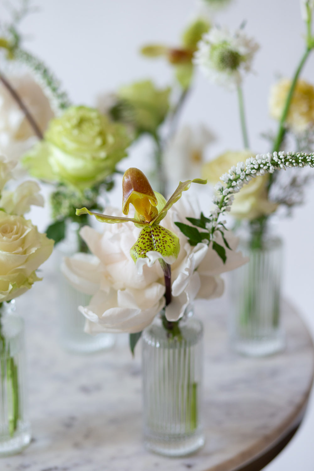 WildFlora's Snowy Days Bud Vases on a small marble table in front of a white backdrop. They have green, white, and chartreuse flowers, and include rose, veronica, scabiosa, pitcher flower, lily, and peony.