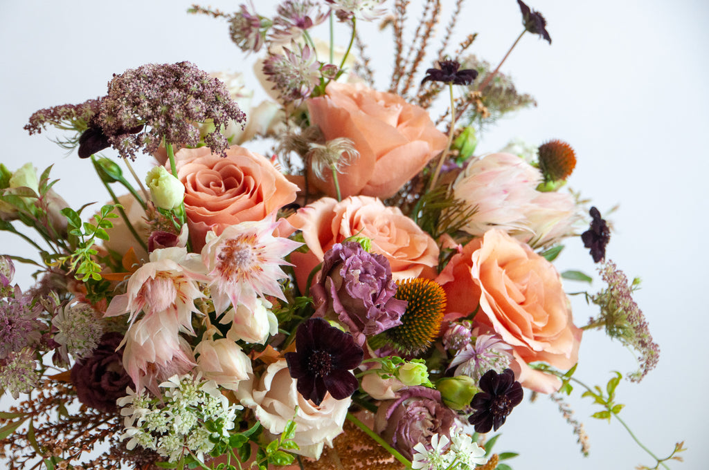 A cream, eggplant, salmon and peach WildFlora flower arrangement in a terracotta compote vase, featuring rose, thistle, Queen Anne's lace, blushing bride protea, and lisianthus.